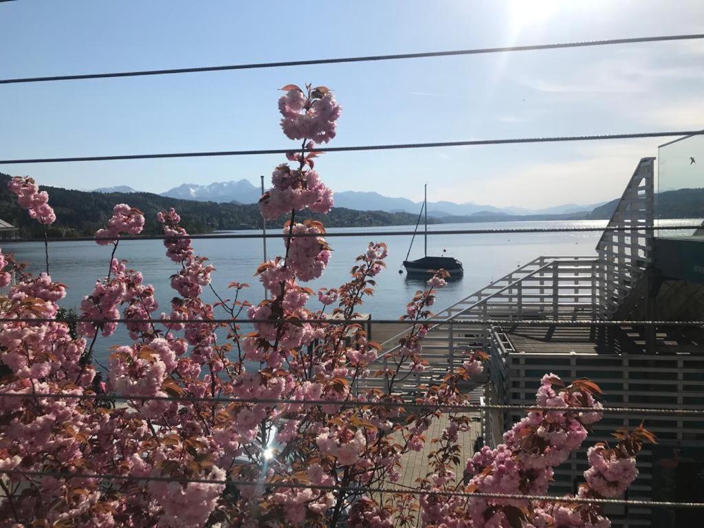 Apartment Lake'S Pörtschach am Wörthersee المظهر الخارجي الصورة